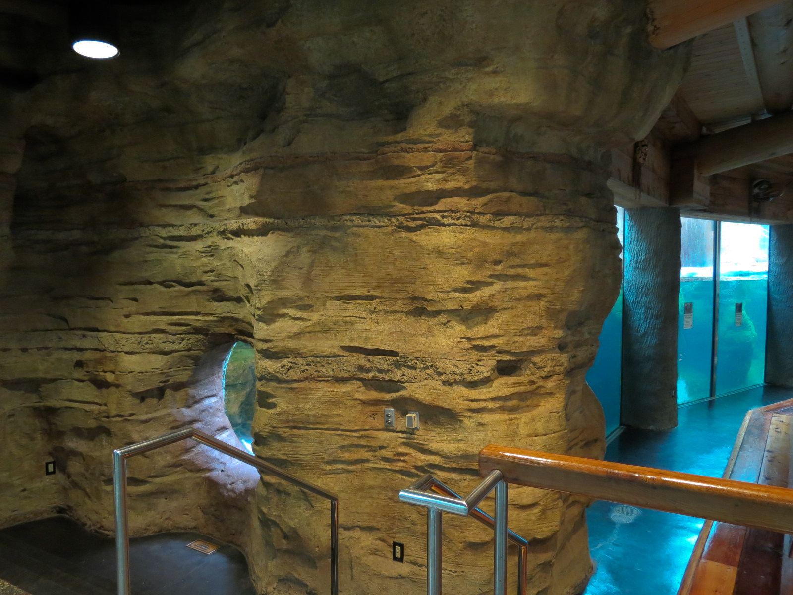 Northwest Passage - California Sea Lion Exhibit - Underwater Viewing