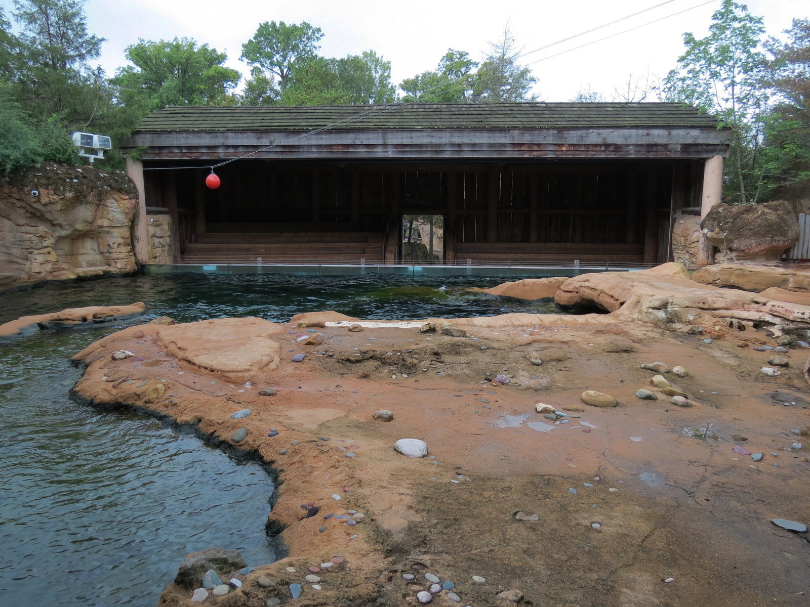 Northwest Passage - California Sea Lion Exhibit