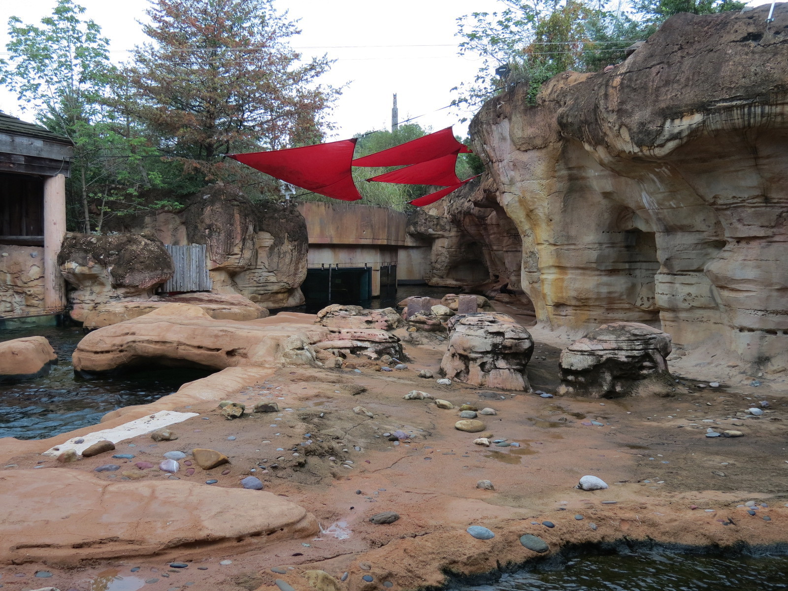 Northwest Passage - California Sea Lion Exhibit