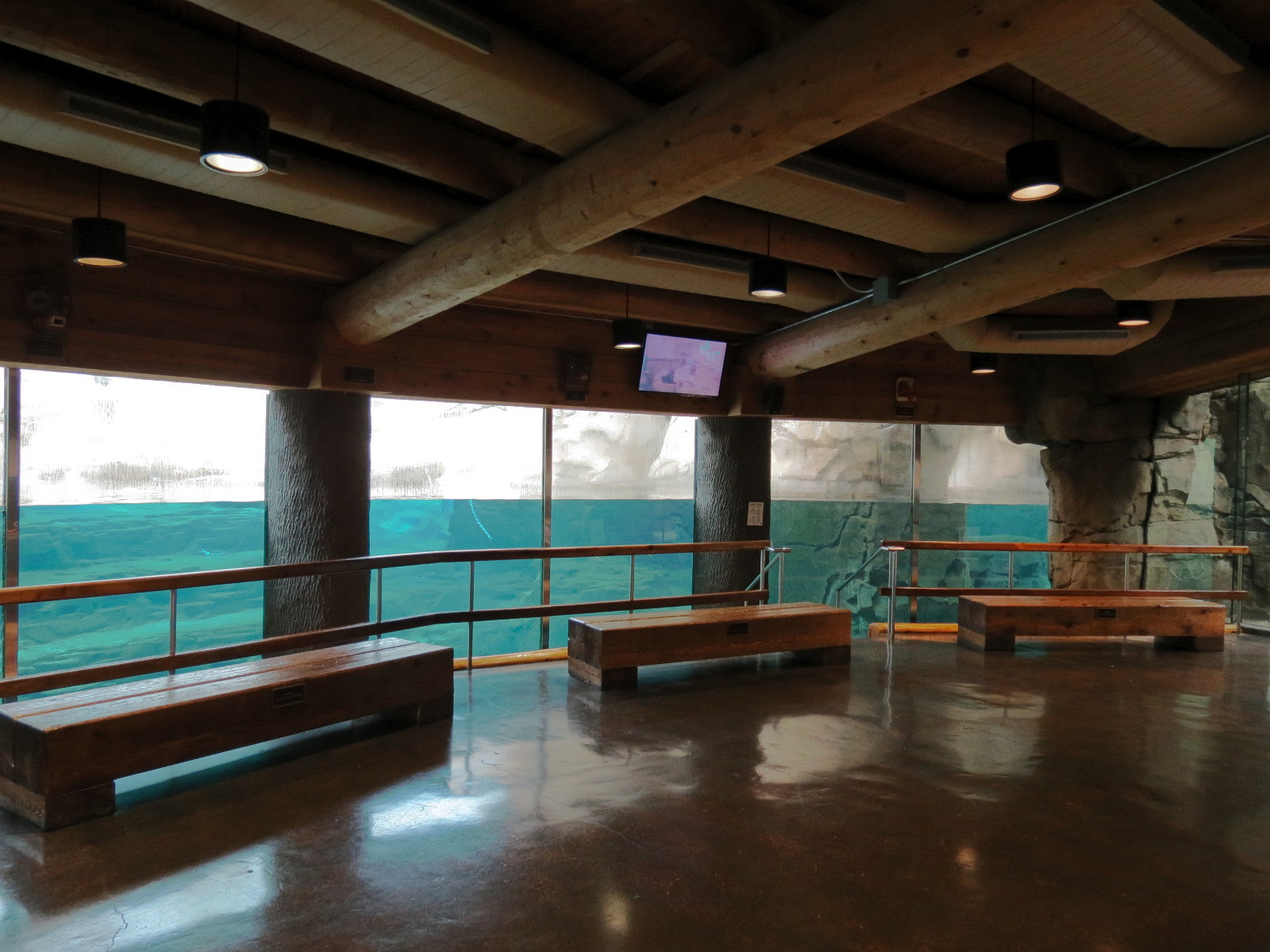 Northwest Passage - Polar Bear Exhibit - Underwater Viewing