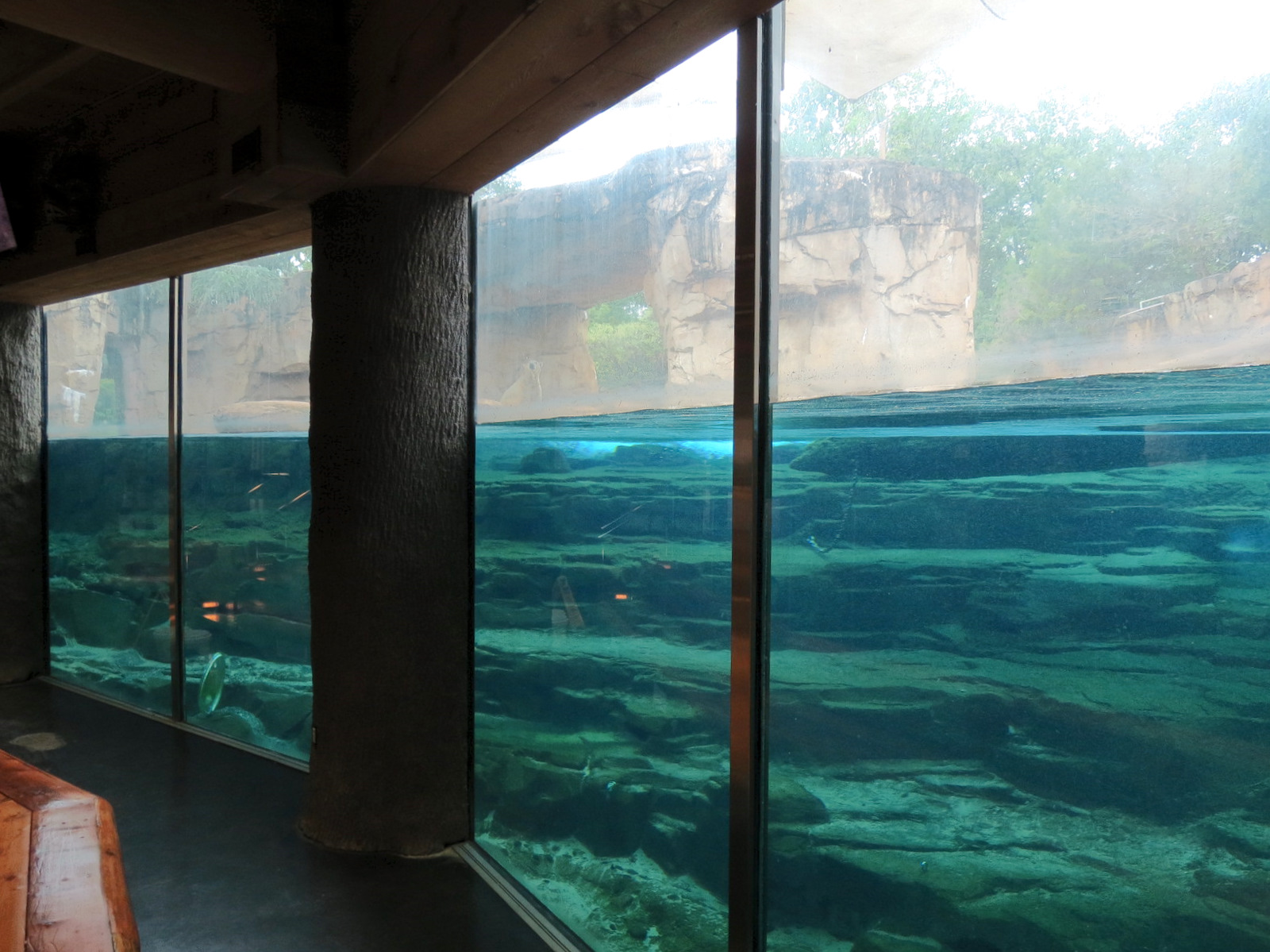 Northwest Passage - Polar Bear Exhibit - Underwater Viewing
