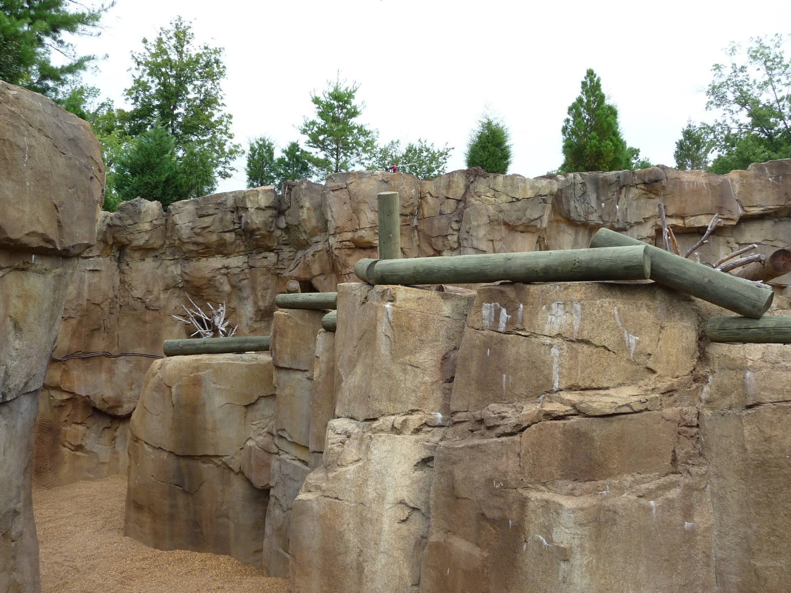 Northwest Passage - Polar Bear Exhibit