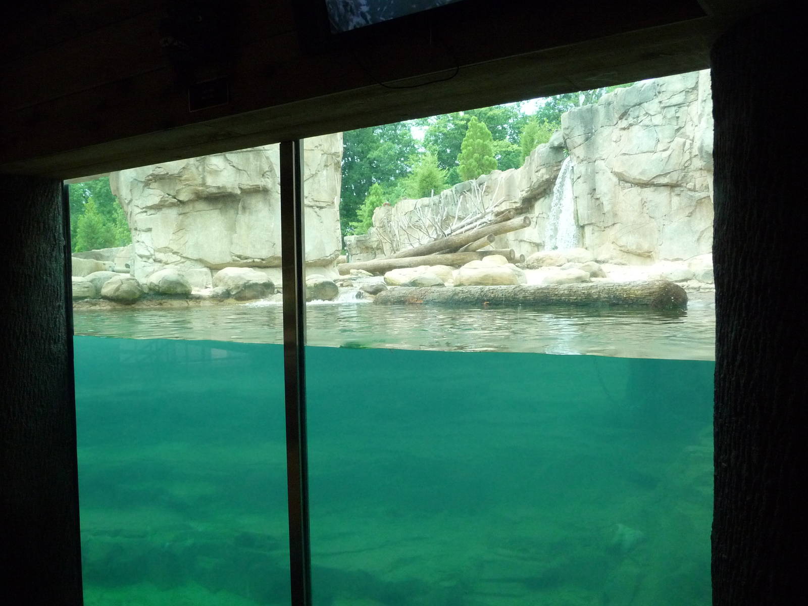 Northwest Passage - Polar Bear Exhibit