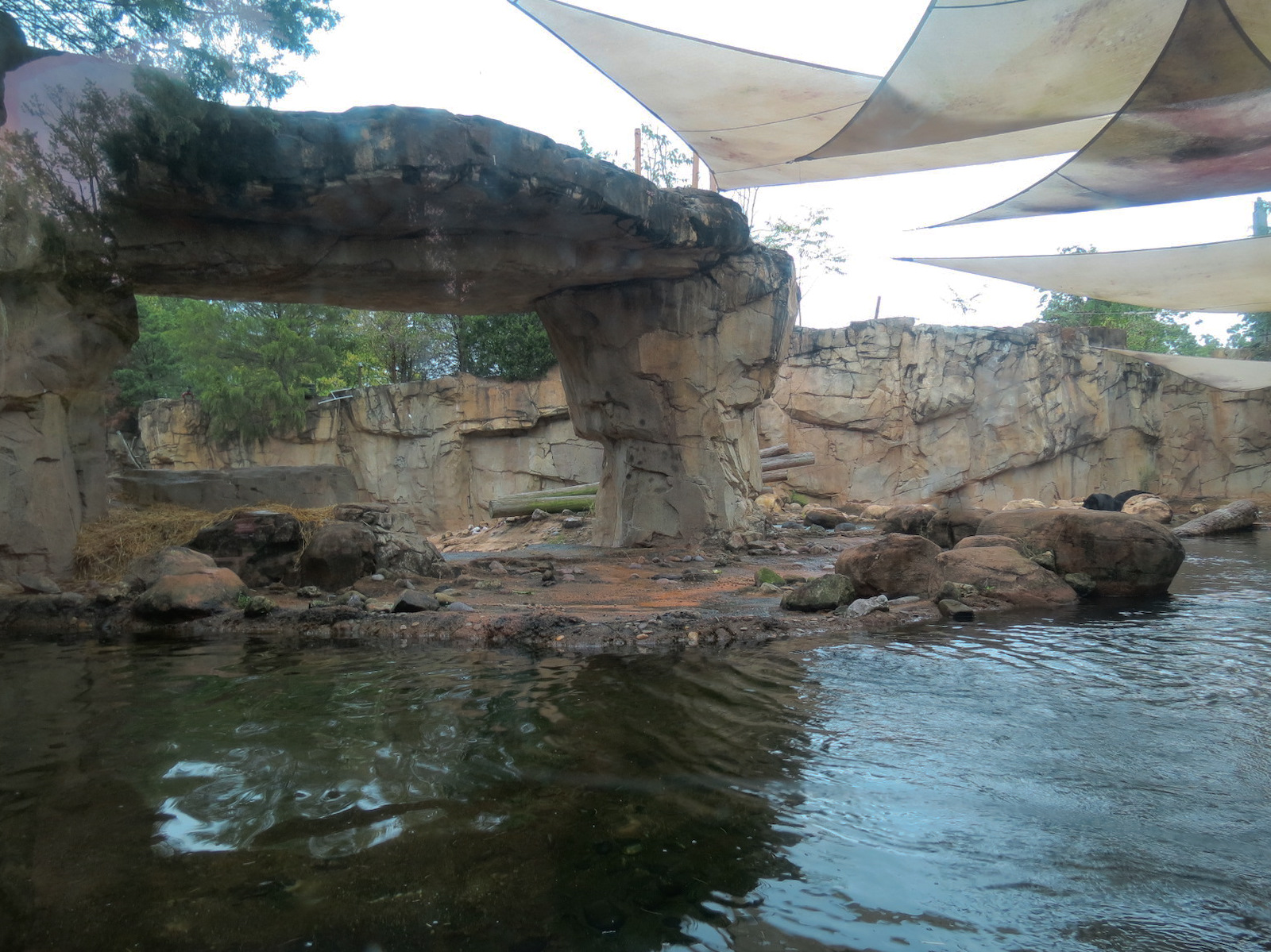 Northwest Passage - Polar Bear Exhibit