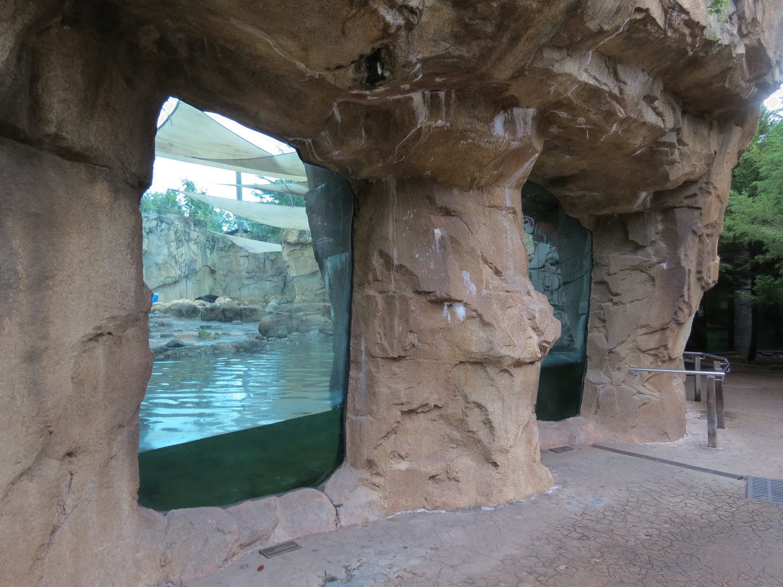 Northwest Passage - Polar Bear Exhibit