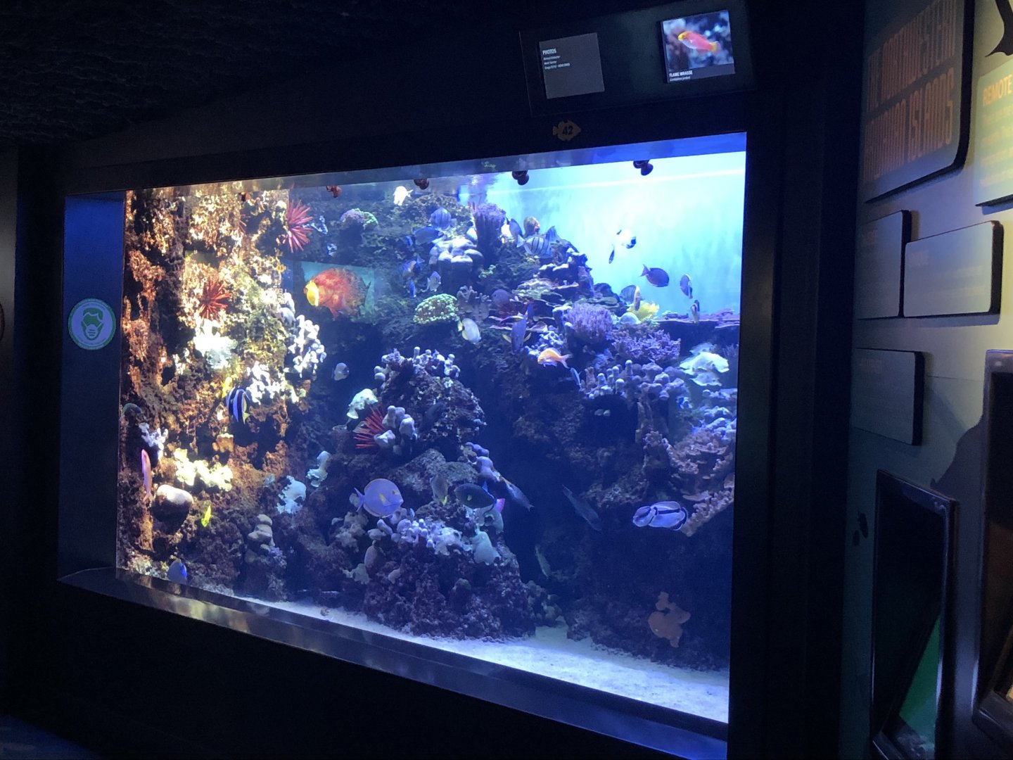 "Northwestern Hawaiian Islands: Papahanaumokuakea" Tank