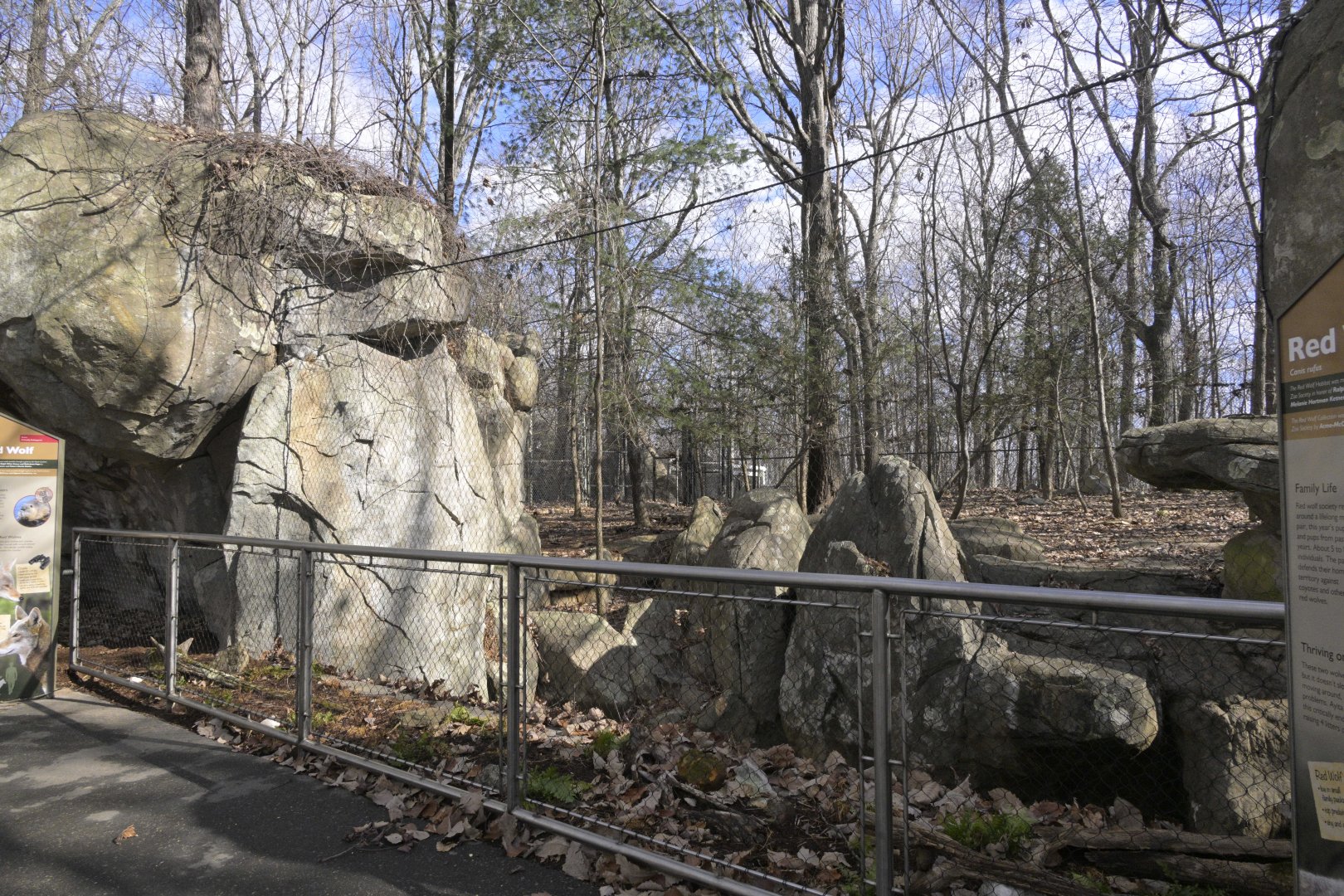 Northwoods - New Barrier in front of Red Wolf (Canis rufus) Exhibit