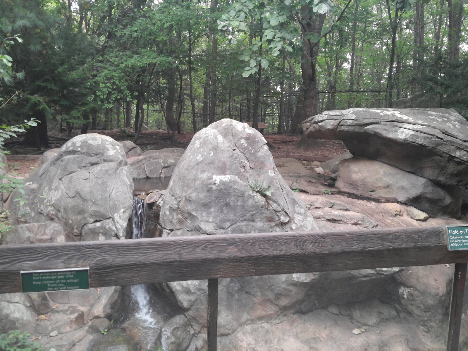 Northwoods - Red Wolf