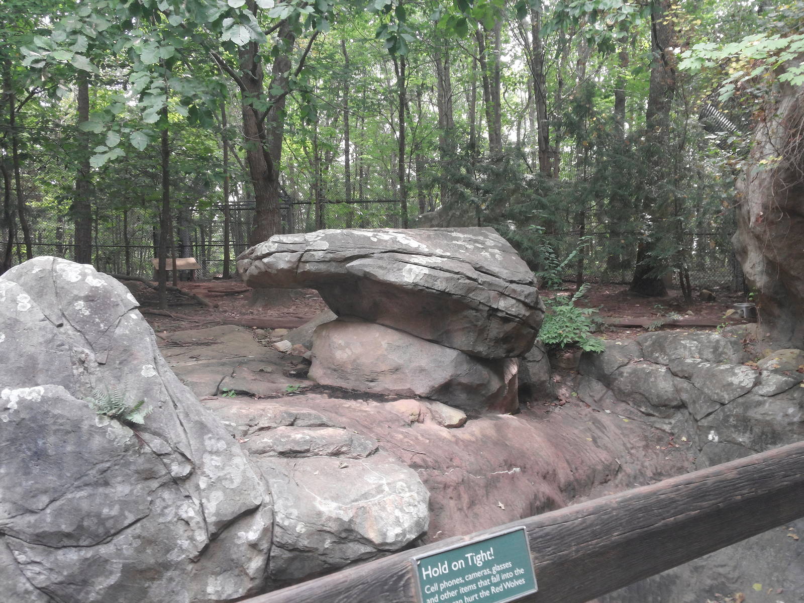 Northwoods - Red Wolf