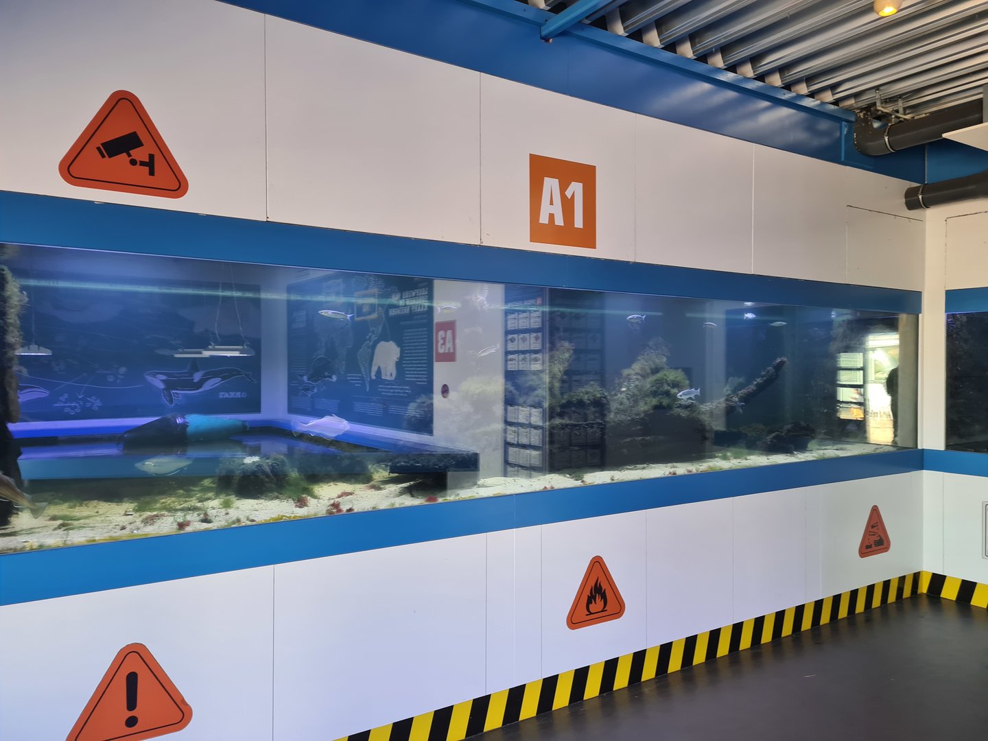 Nortica aquarium - A1 (Big tank)