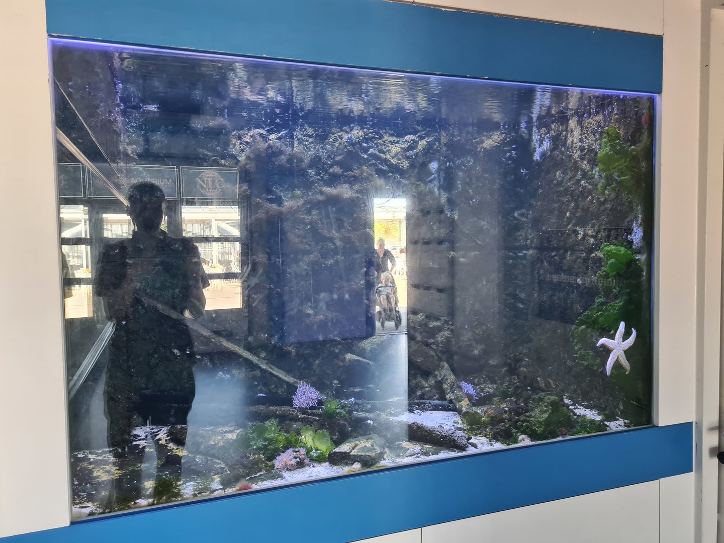 Nortica aquarium - A2 (Tide pool tank)