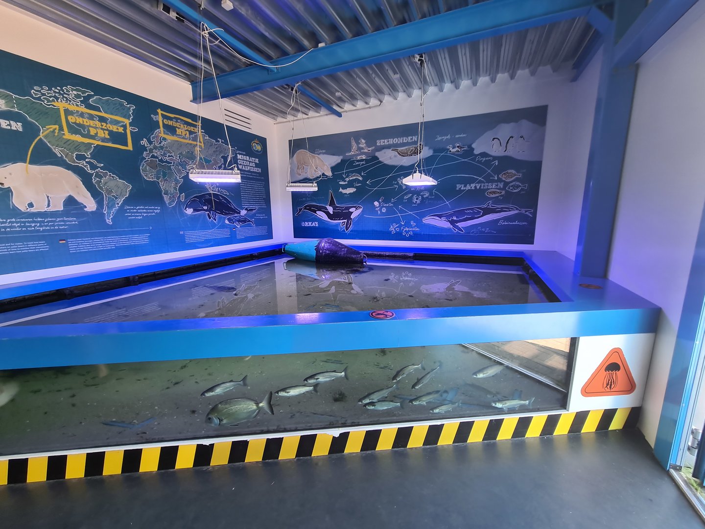 Nortica aquarium - A3 (Seabottom tank)