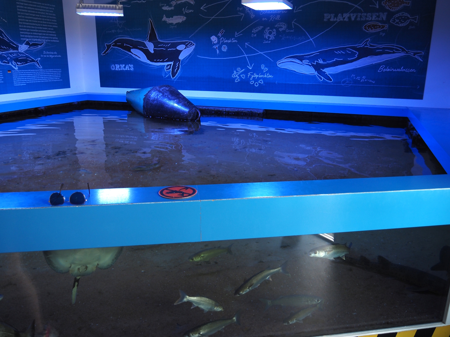 Nortica Aquarium - A3 tank, 2024-06-23