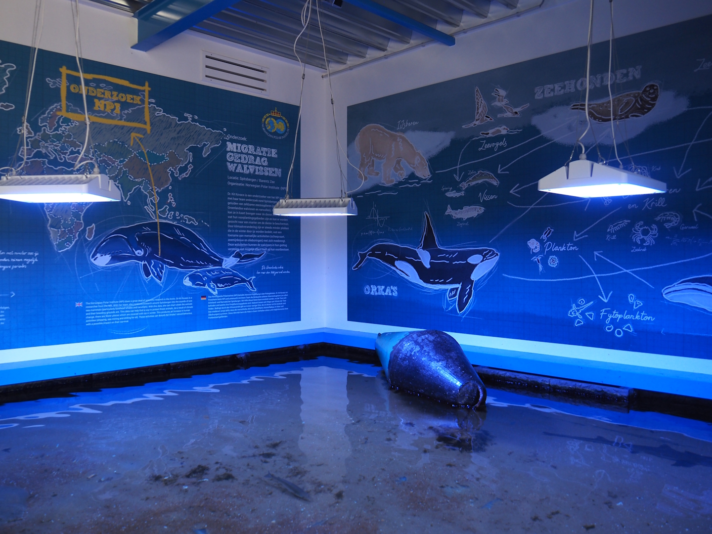 Nortica Aquarium - A3 tank and educational murals, 2024-06-23