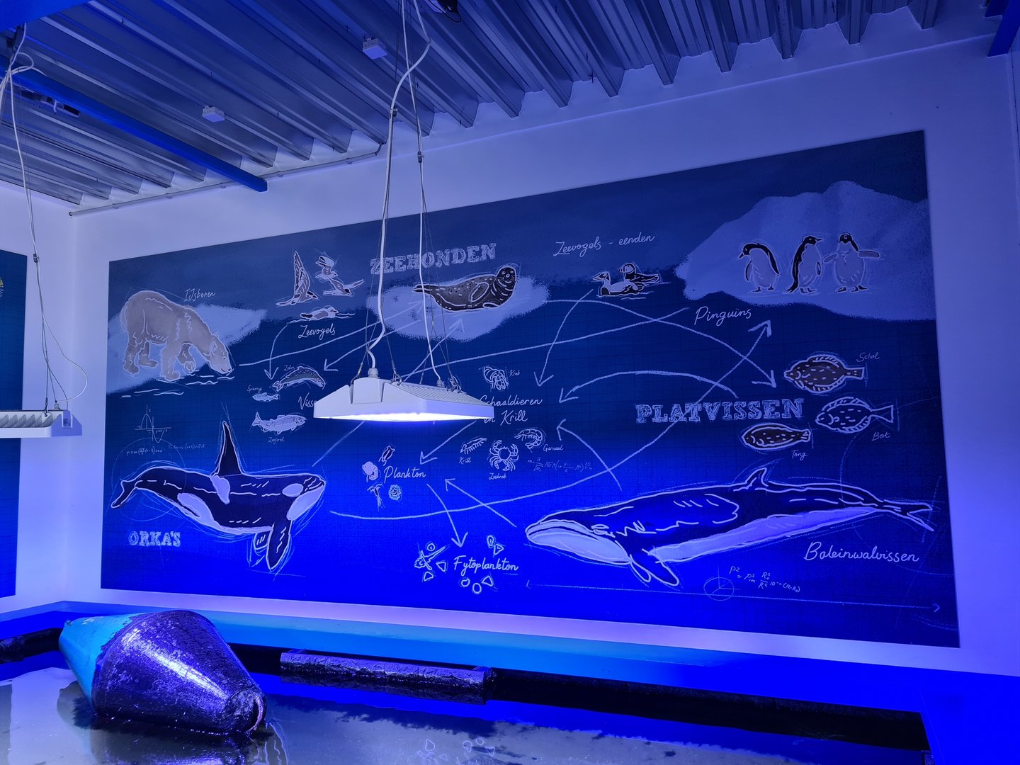 Nortica aquarium - Food chain mural