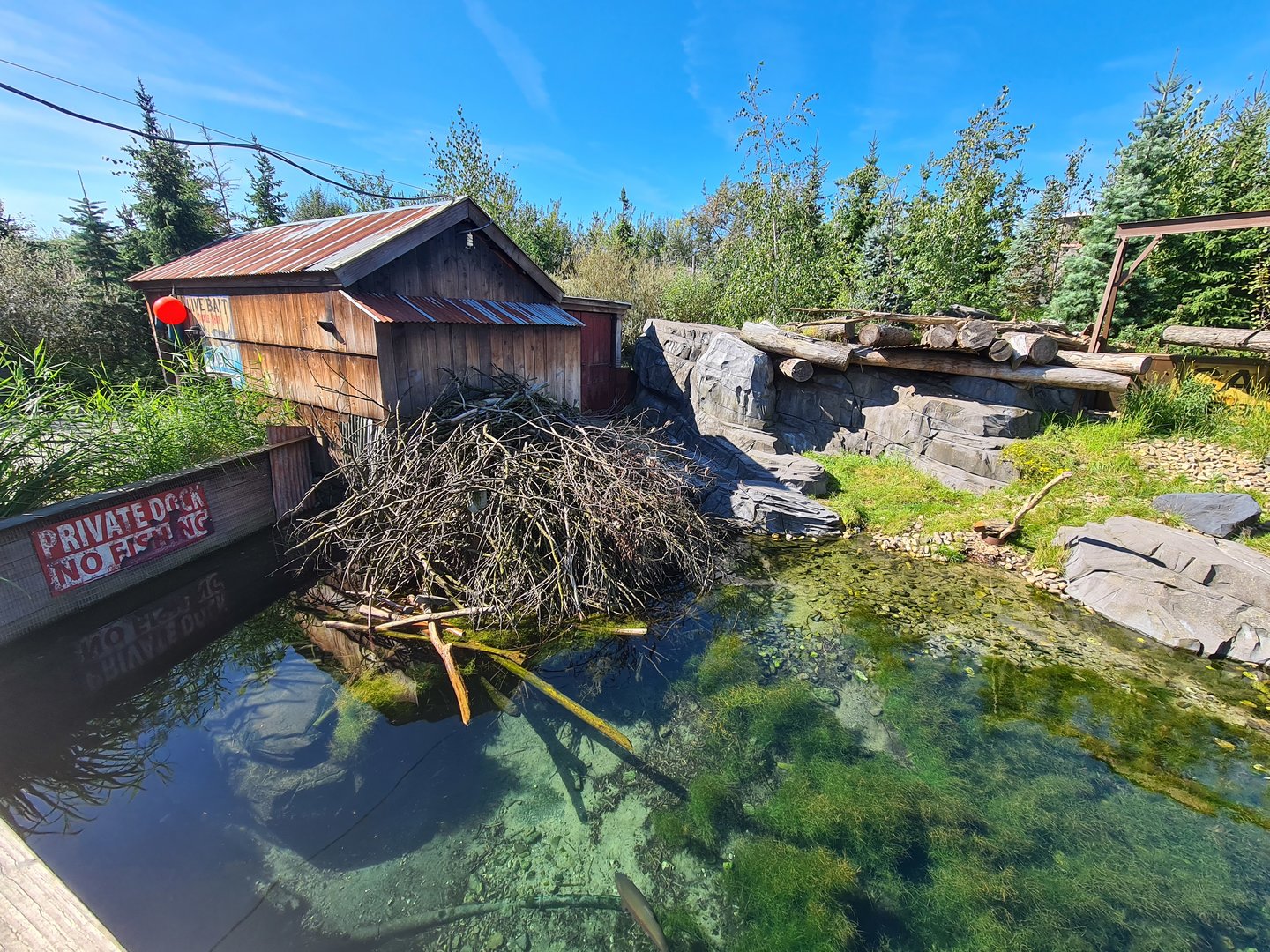 Nortica - Beaver enclosure
