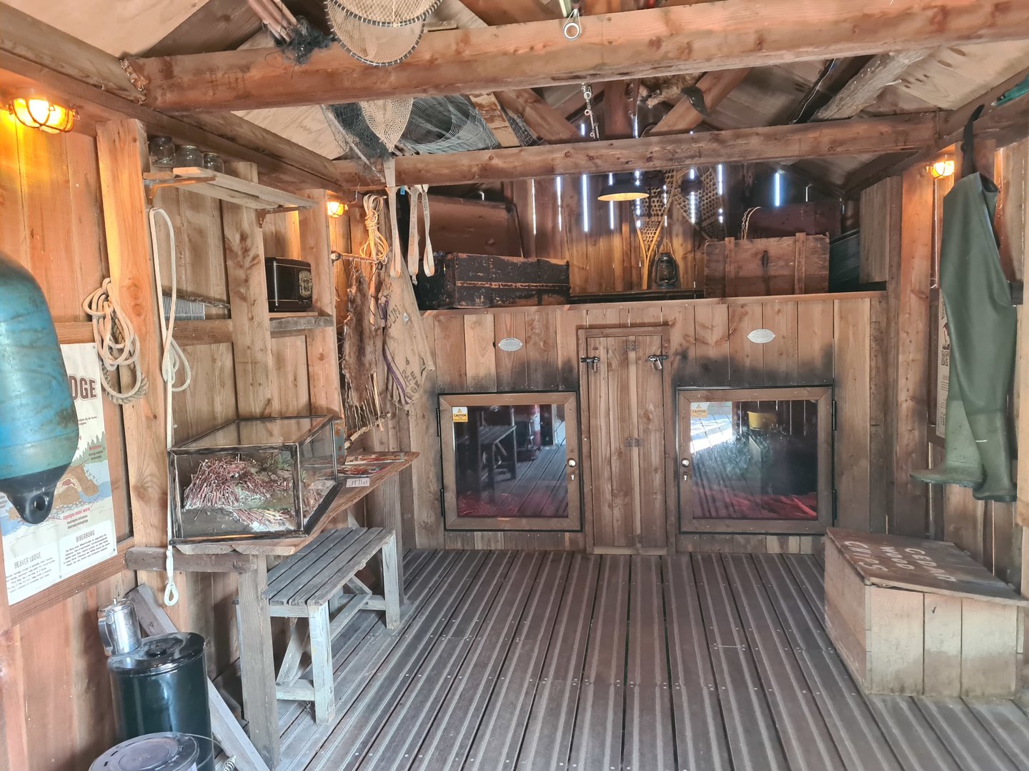 Nortica - Beaver indoor holding