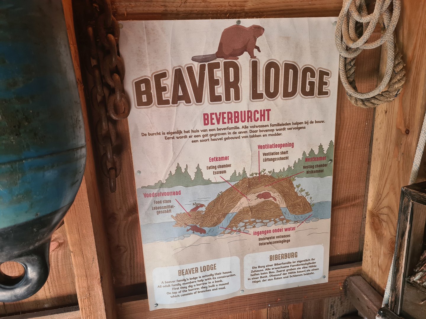 Nortica - Beaver informational sogn