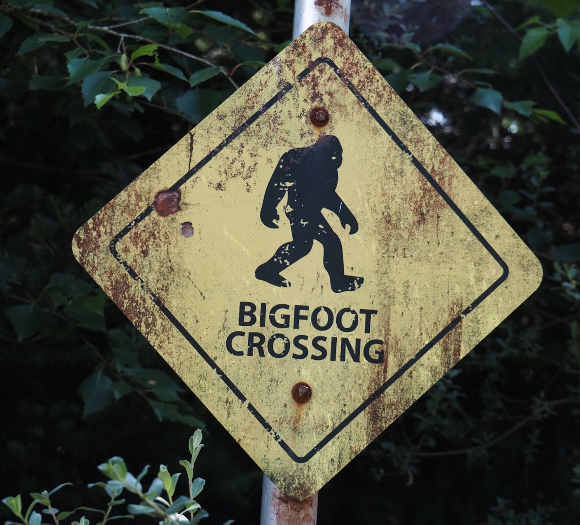 Nortica - Bigfoot crossing sign, 2024-06-23