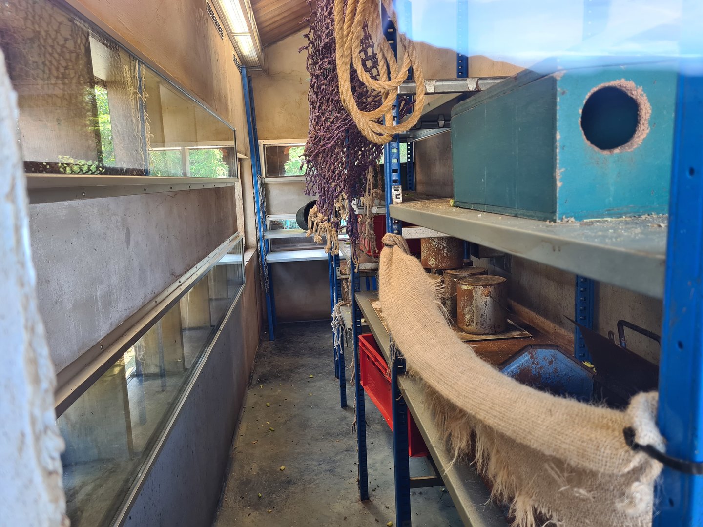 Nortica - Brown rat enclosure