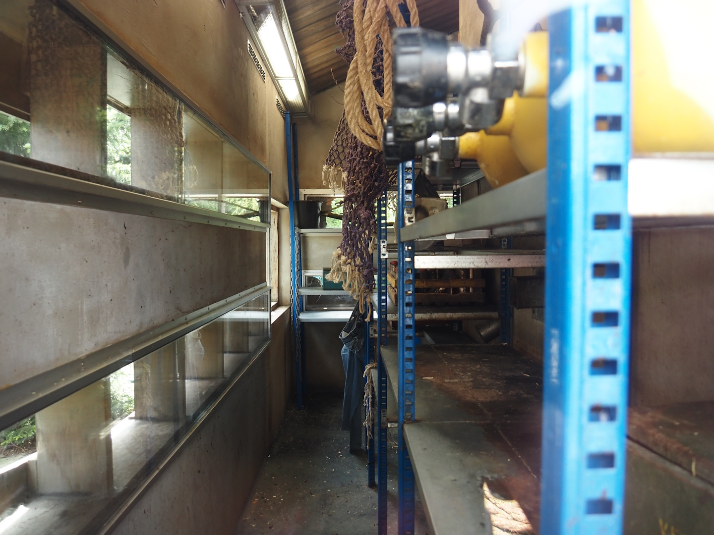 Nortica - Brown rat warehouse, 2024-06-23