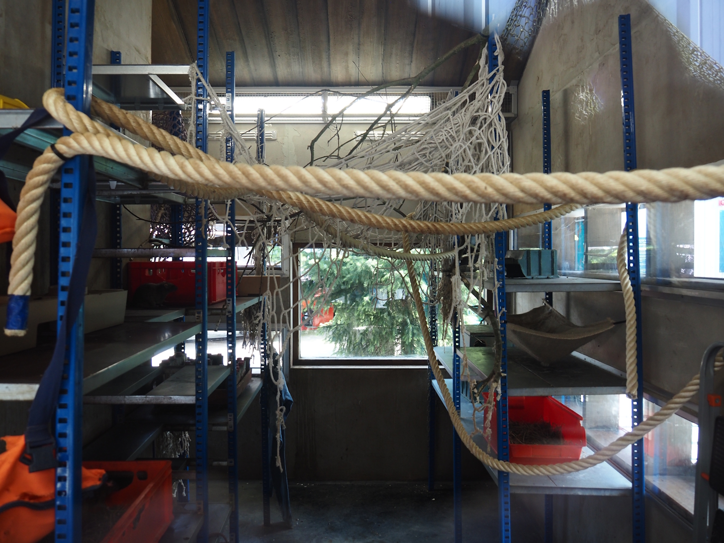 Nortica - Brown rat warehouse, 2024-06-23