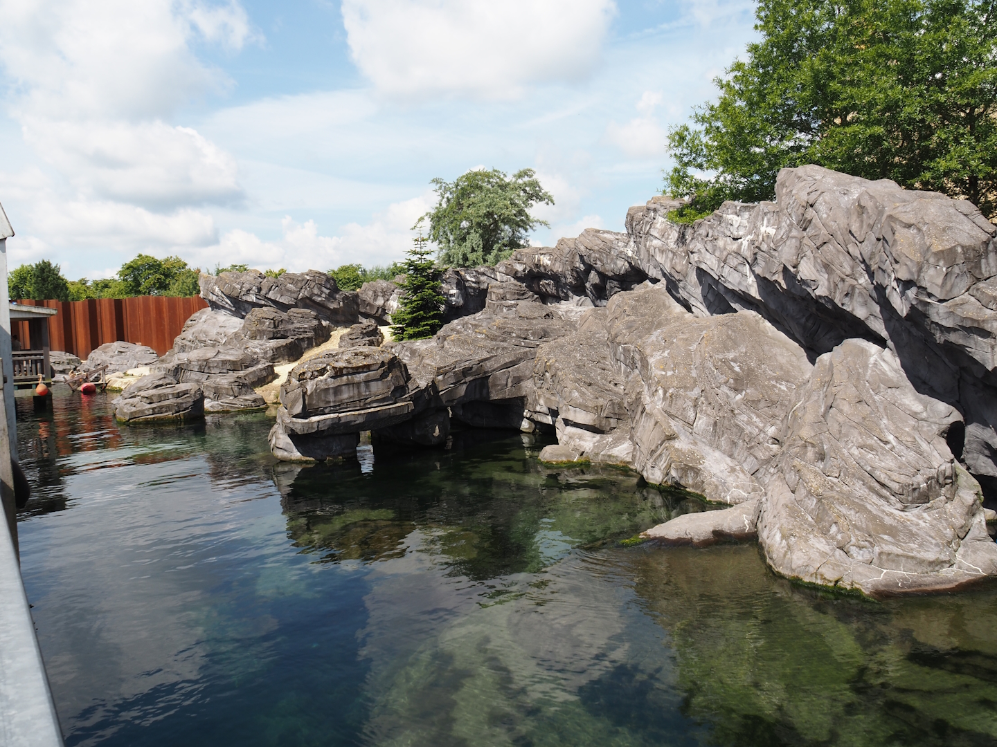 Nortica - California sea lion exhibit, 2024-06-23