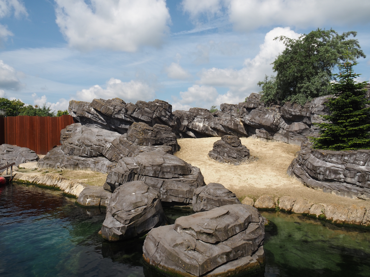 Nortica - California sea lion exhibit, 2024-06-23