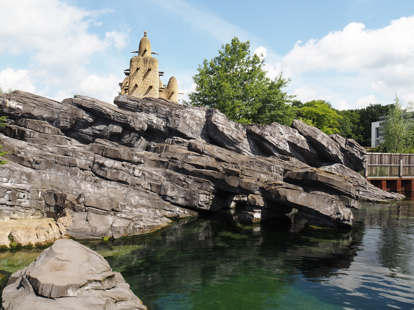 Nortica - California sea lion exhibit, 2024-06-23