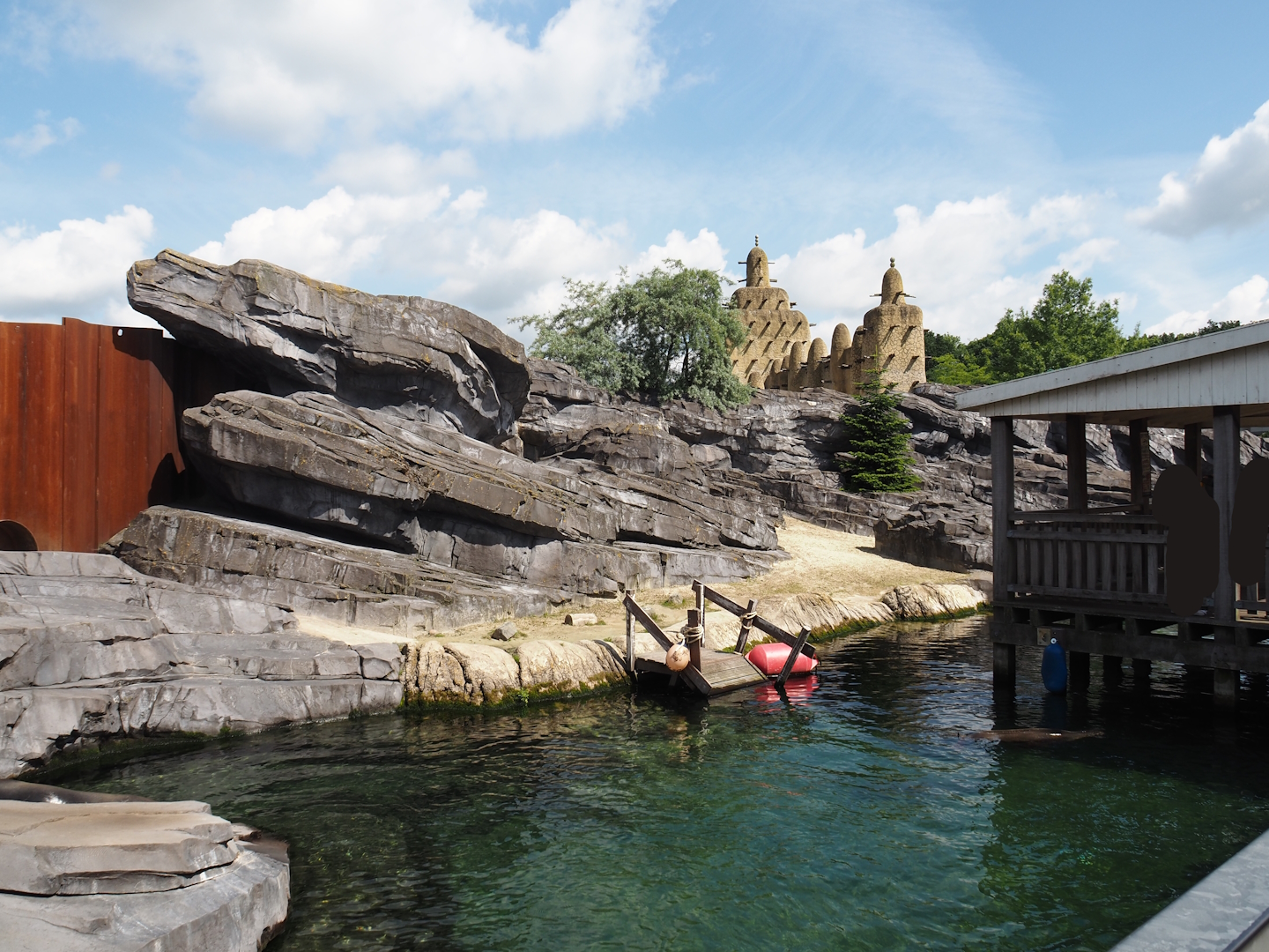 Nortica - California sea lion exhibit, 2024-06-23