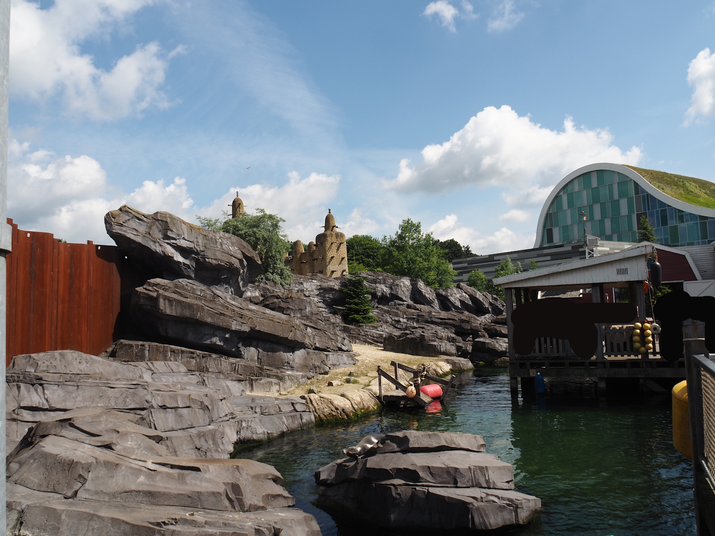 Nortica - California sea lion exhibit, 2024-06-23