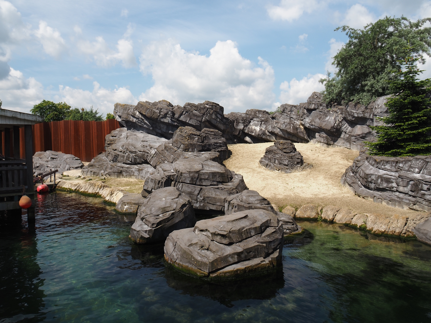 Nortica - California sea lion exhibit, 2024-06-23