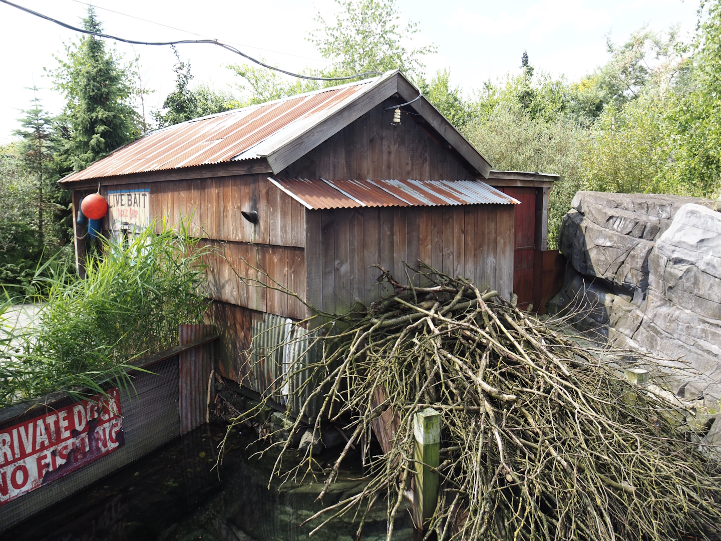 Nortica - Eurasian beaver barn, 2024-06-23