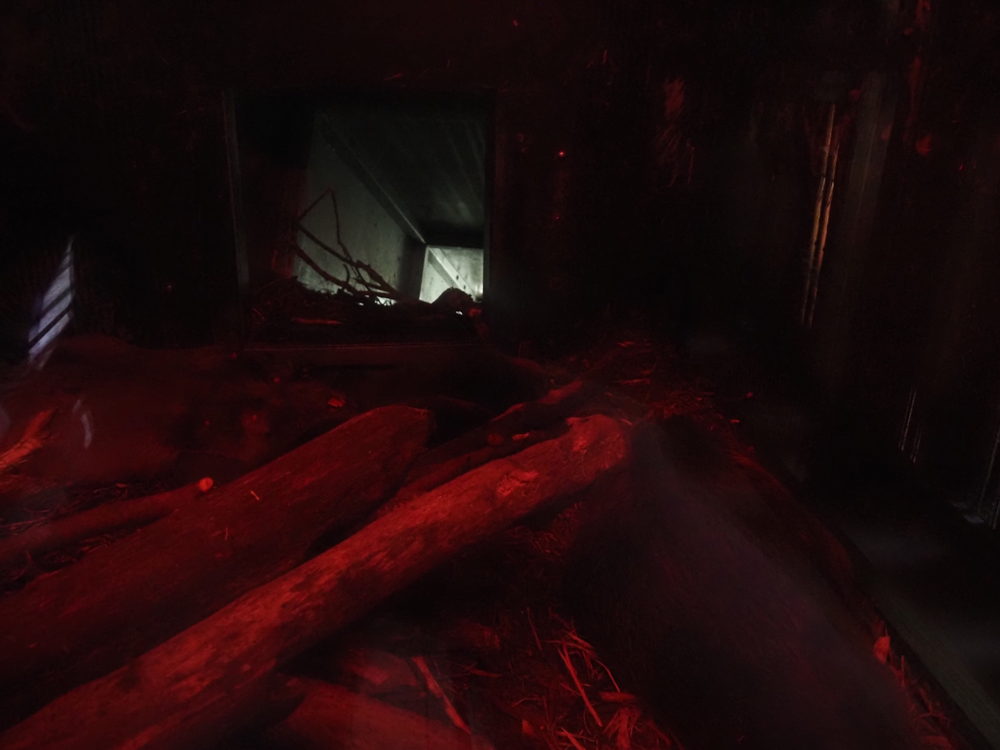 Nortica - Eurasian beaver den, 2024-06-23