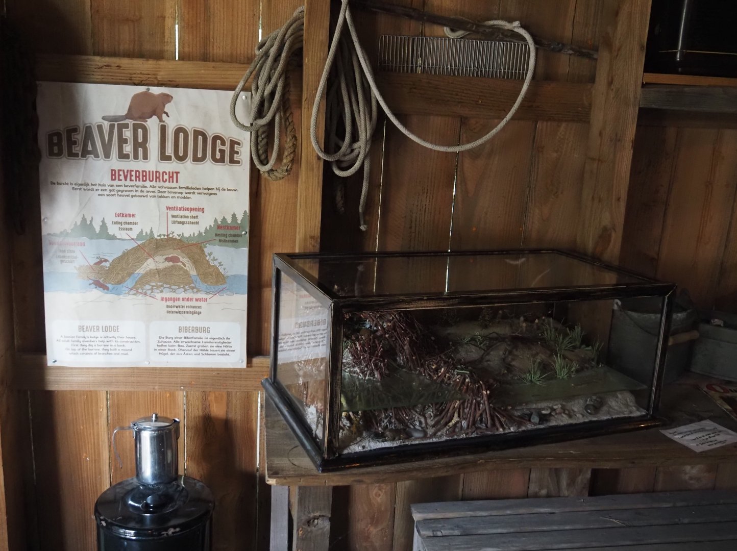 Nortica - Eurasian beaver den model and signage, 2024-06-23