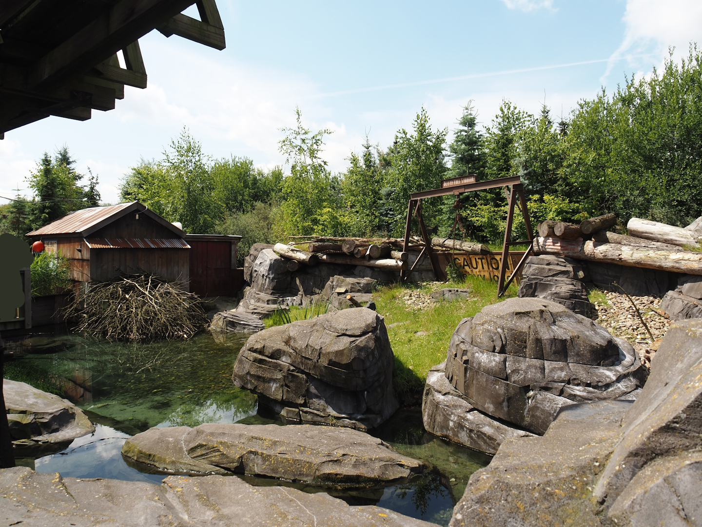 Nortica - Eurasian beaver exhibit, 2024-06-23