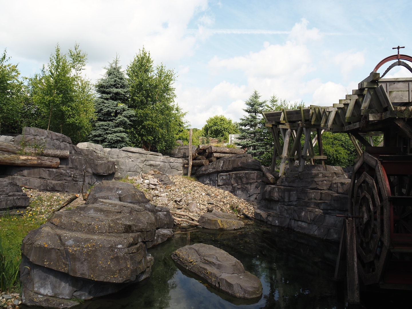 Nortica - Eurasian beaver exhibit, 2024-06-23