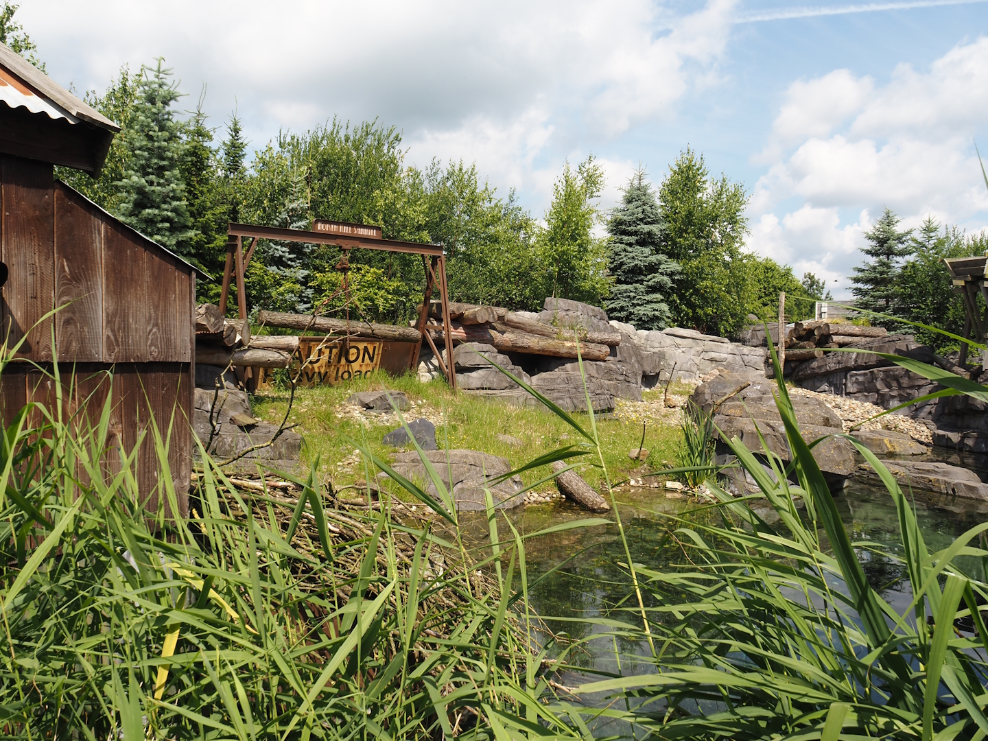 Nortica - Eurasian beaver exhibit, 2024-06-23