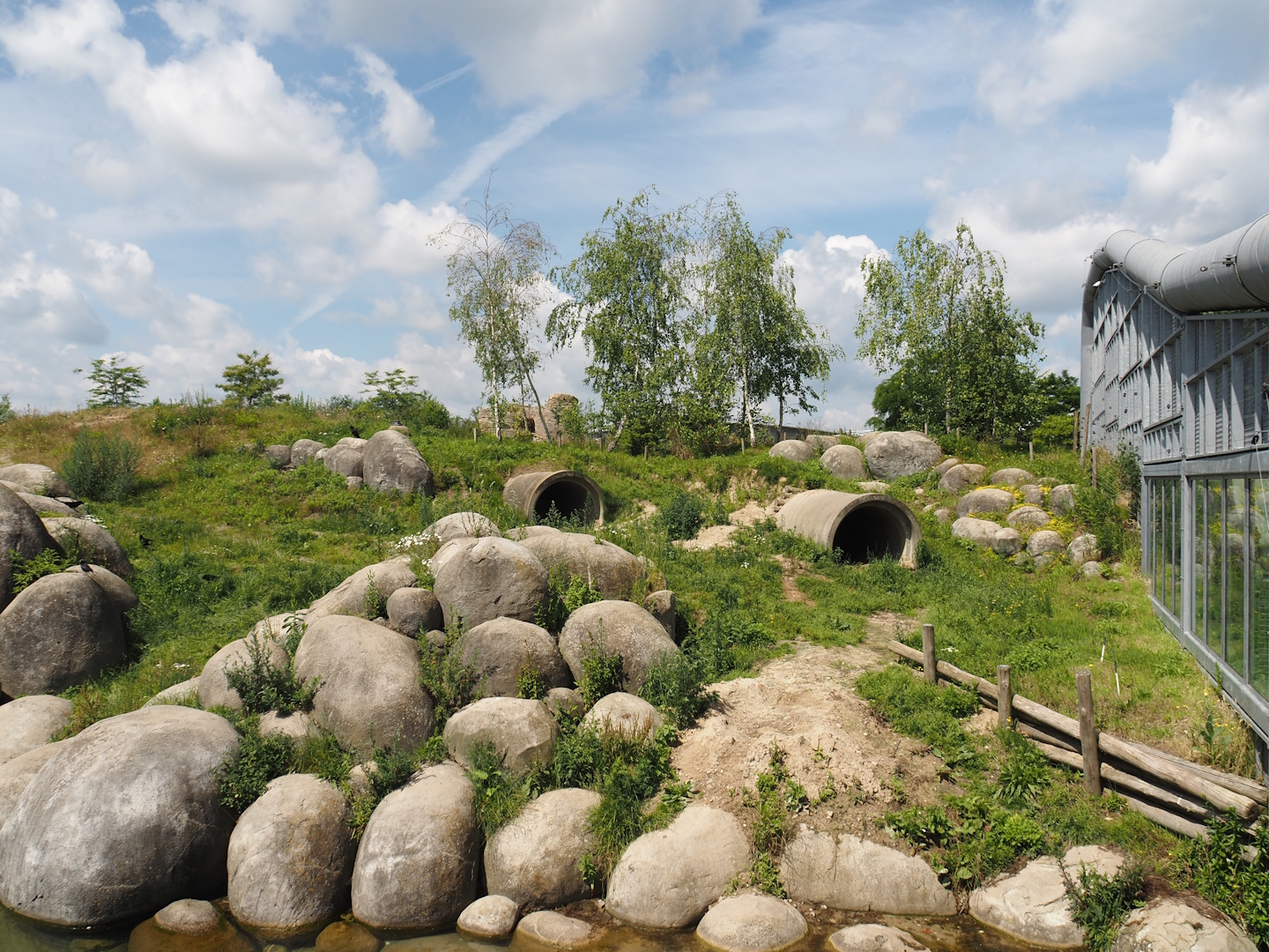 Nortica - First polar bear exhibit, 2024-06-23