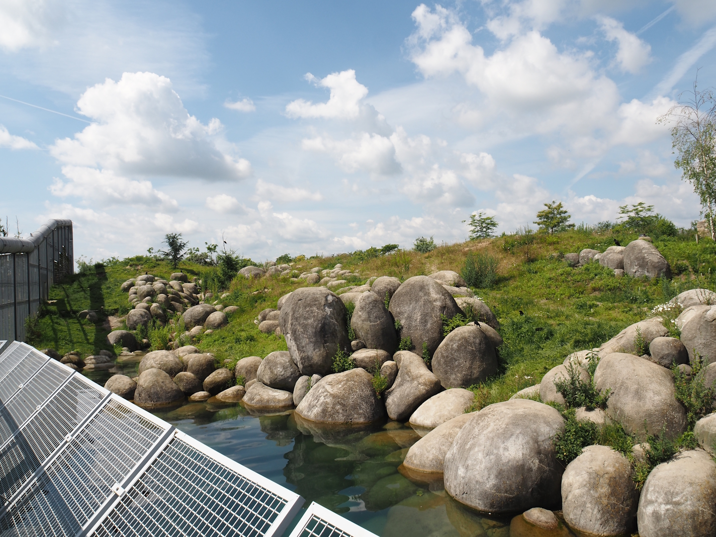 Nortica - First polar bear exhibit, 2024-06-23