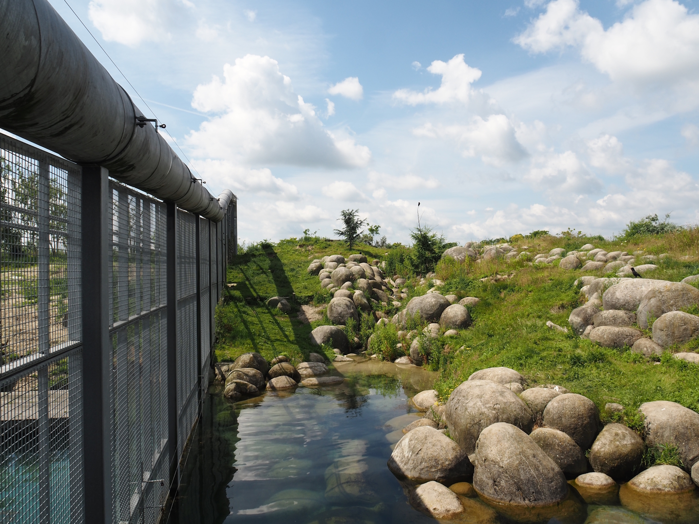 Nortica - First polar bear exhibit, 2024-06-23