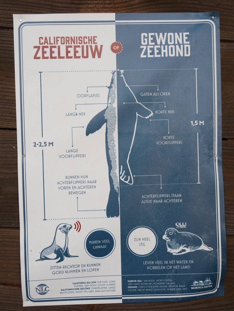 Nortica Hafên port themed area - Comparison of California sea lion and harbor seal signage , 2024-06-23