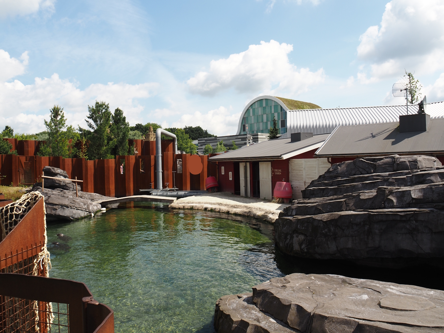 Nortica - Harbor eal exhibit, 2024-06-23