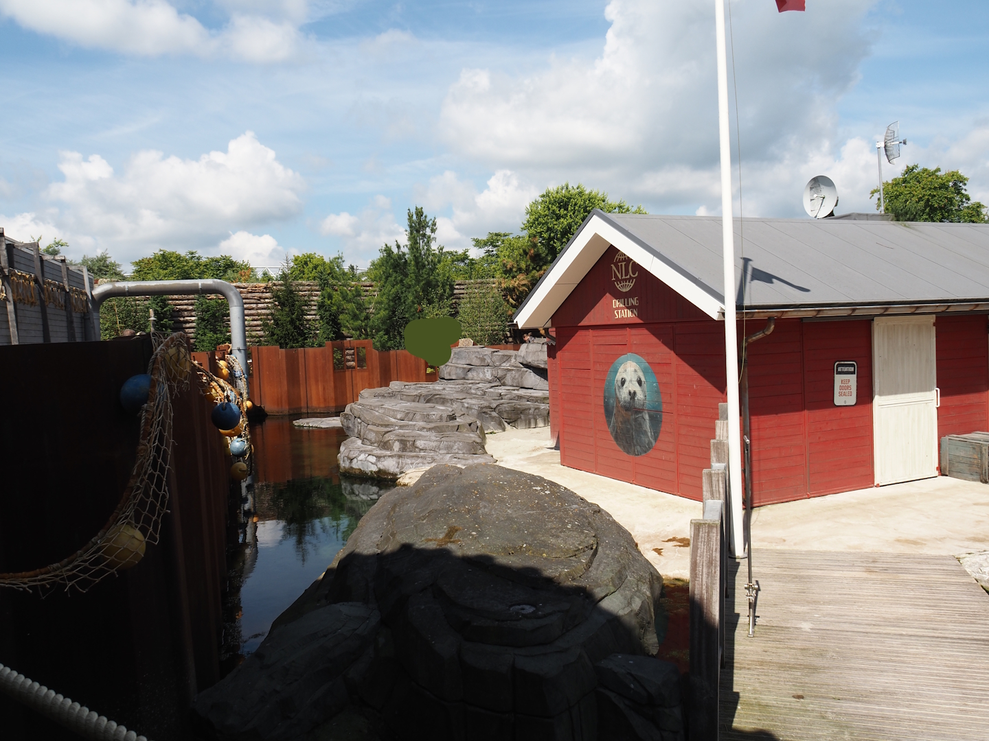Nortica - Harbor seal exhibit, 2024-06-23