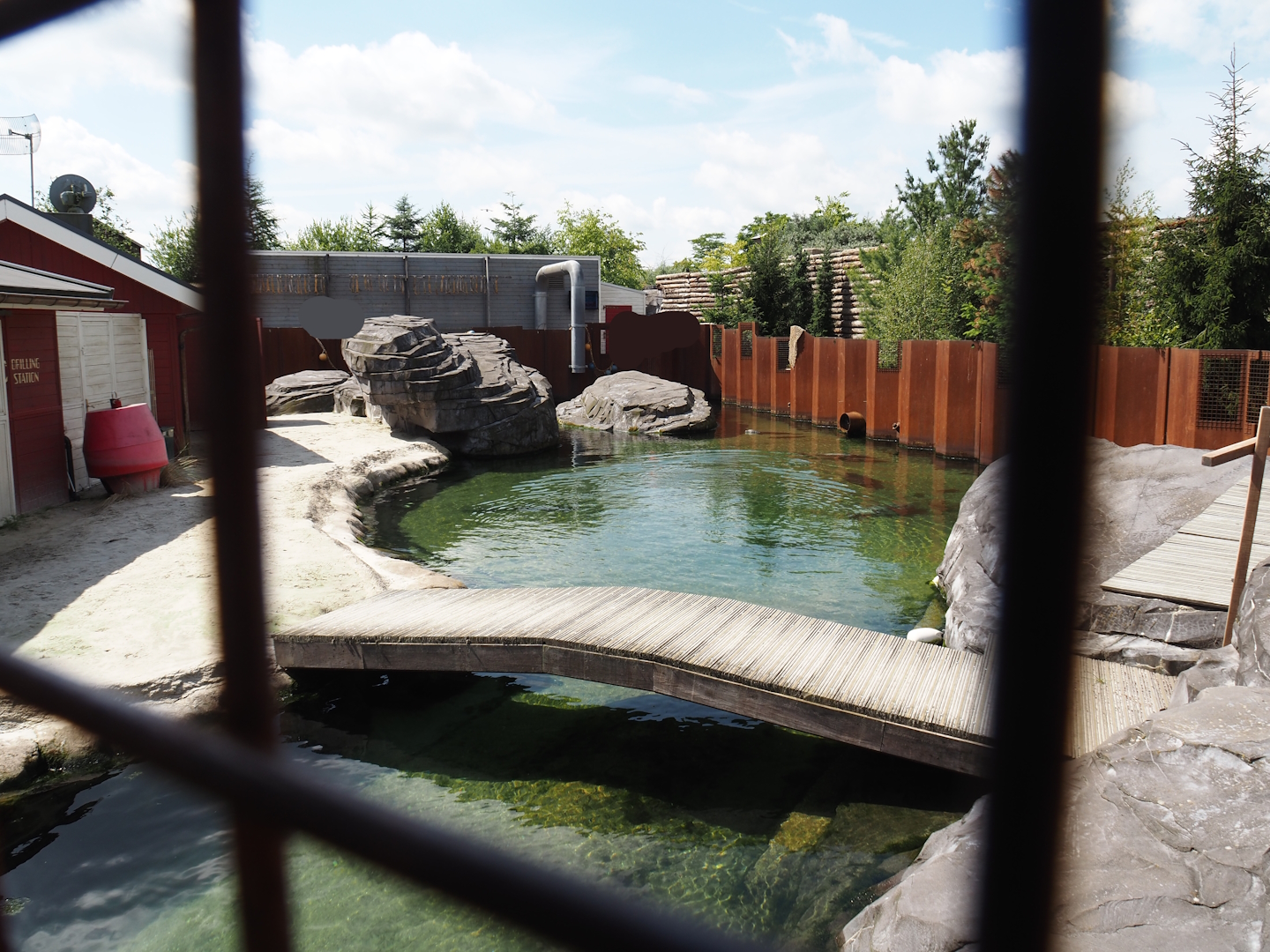 Nortica - Harbor seal exhibit, 2024-06-23