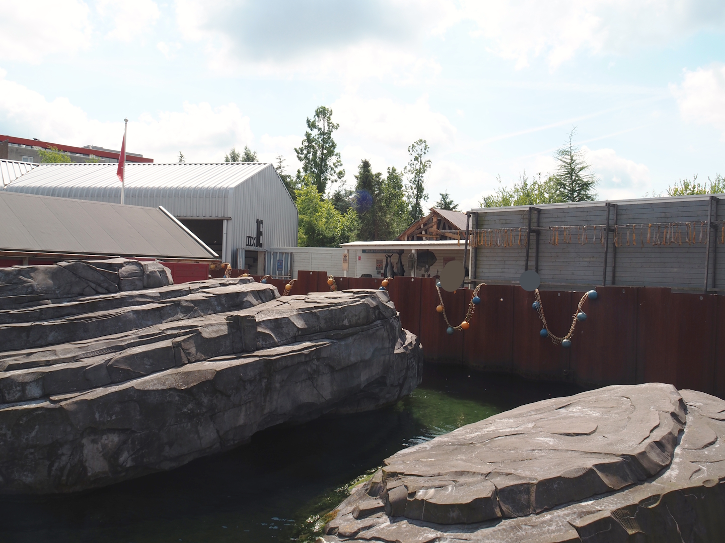 Nortica - Harbor seal exhibit rocks, 2024-06-23