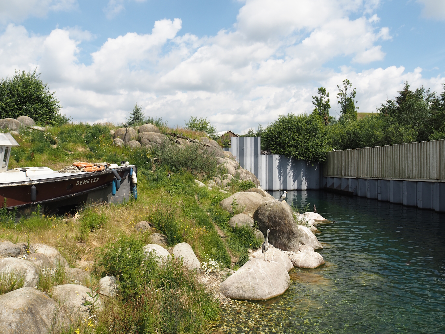Nortica - Humboldt penguin and Magellanic flightless steamer duck exhibit, 2024-06-23