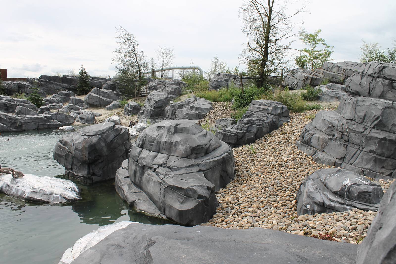 NORTICA : Humboldt penguin enclosure
