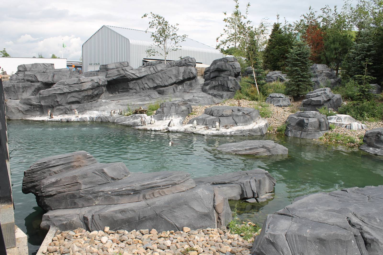NORTICA : Humboldt penguin enclosure