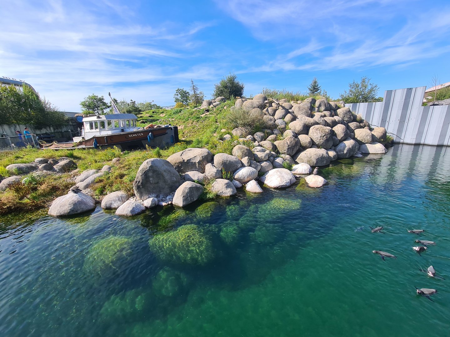 Nortica - Humboldt penguin enclosure